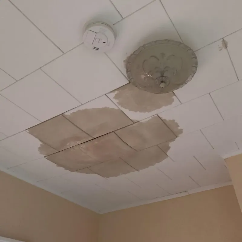 Ceiling Water Damage Repair in Phillips, WI